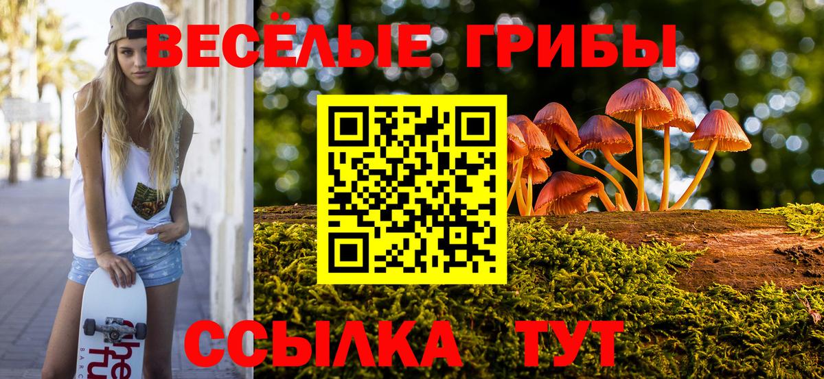 Галлюциногенные грибы Cubensis  Вход с VPN  Сыктывкар 